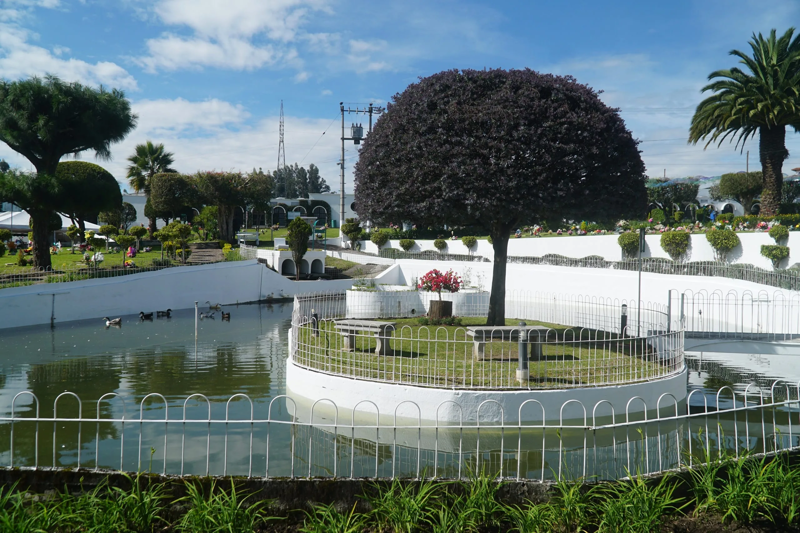 DSC03955